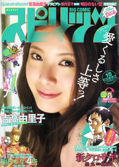 Cover of No. 15, 2012