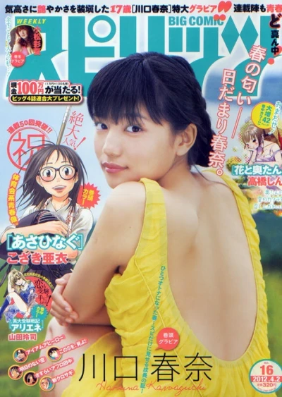 Cover of No. 16, 2012