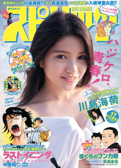 Cover of No. 17, 2012