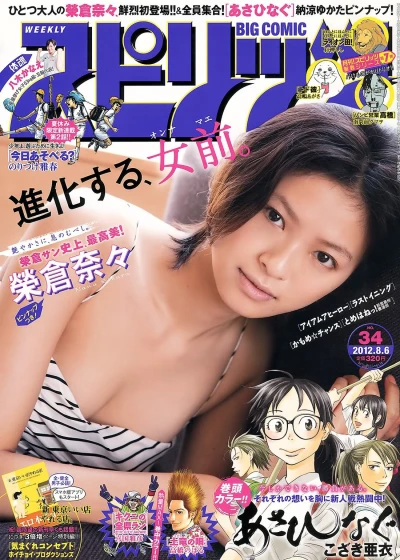 Cover of No. 34, 2012