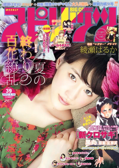 Cover of No. 39, 2012