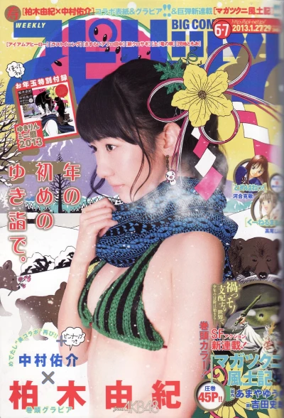 Cover of No. 6-7, 2013