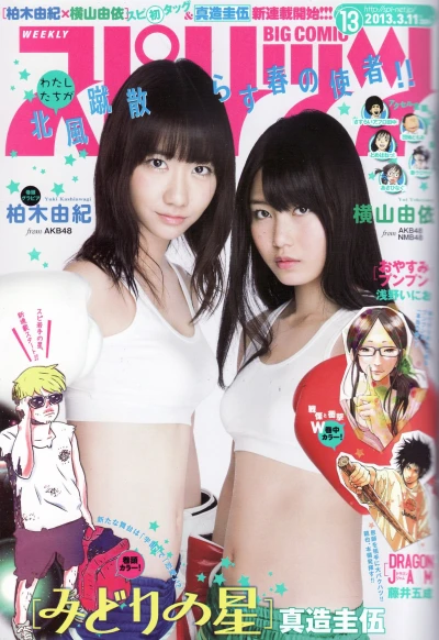 Cover of No. 13, 2013