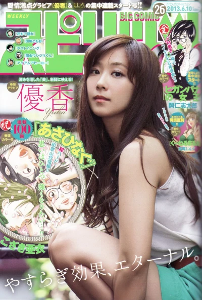 Cover of No. 26, 2013