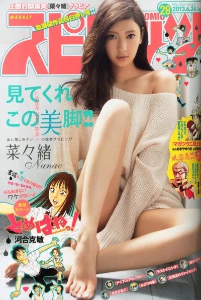 Cover of No. 28, 2013