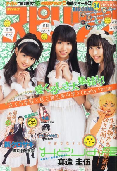 Cover of No. 34, 2013