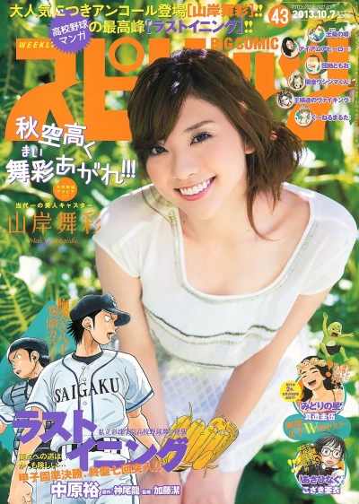 Cover of No. 43, 2013