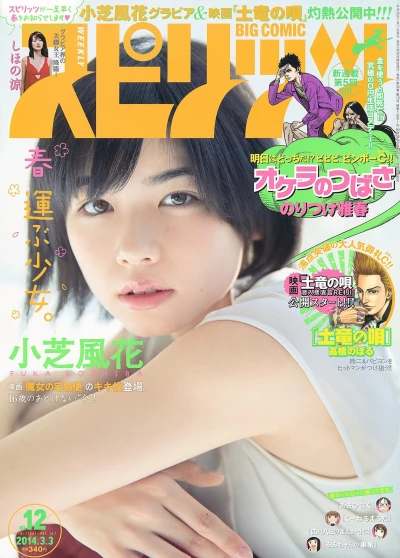 Cover of No. 12, 2014