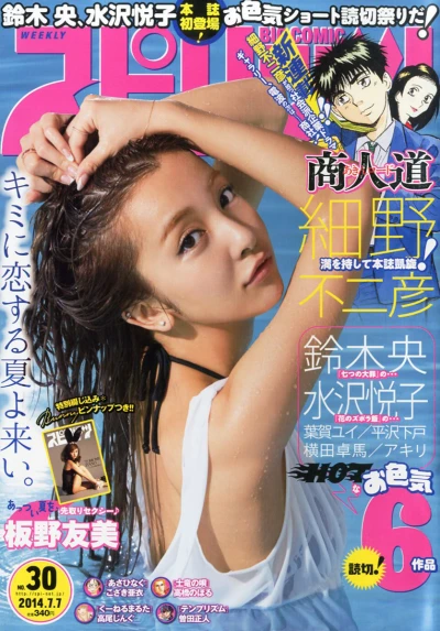 Cover of No. 30, 2014