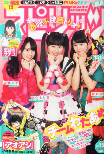 Cover of No. 15, 2015