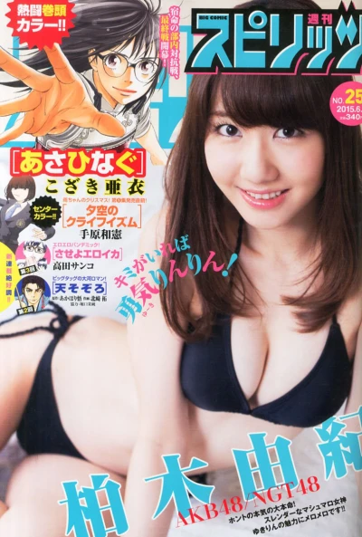 Cover of No. 25, 2015