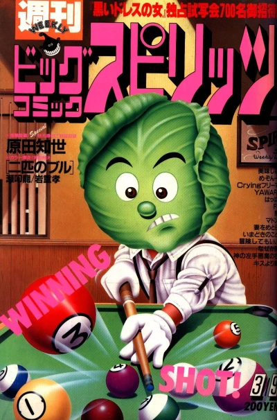 Cover of No. 13, 1987