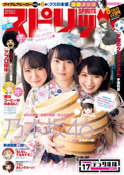 Cover of No. 17, 2016