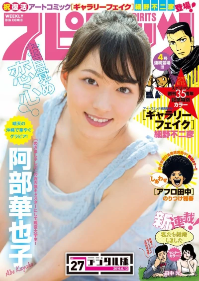 Cover of No. 27, 2016