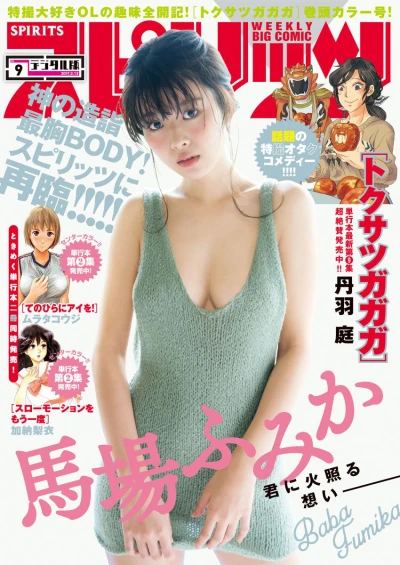 Cover of No. 9, 2017