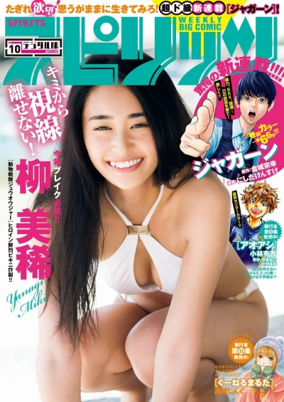 Cover of No. 10, 2017