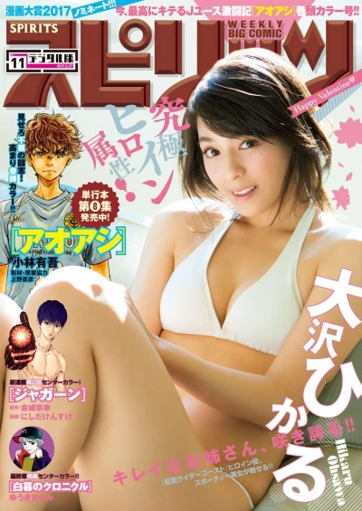 Cover of No. 11, 2017