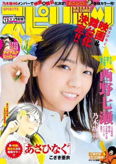 Cover of No. 13, 2017