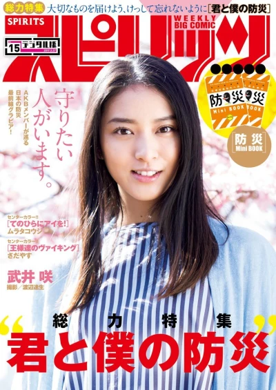 Cover of No. 15, 2017