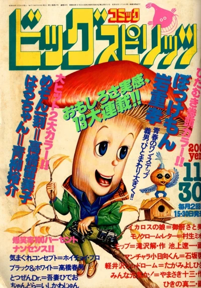 Cover of No. 17, 1981