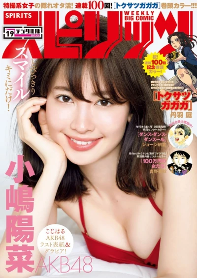 Cover of No. 19, 2017