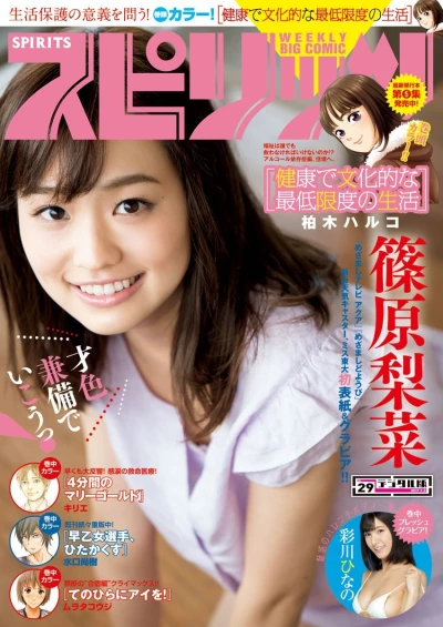 Cover of No. 29, 2017