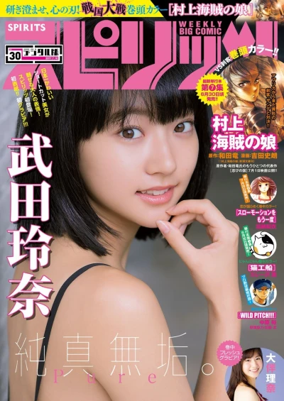 Cover of No. 30, 2017