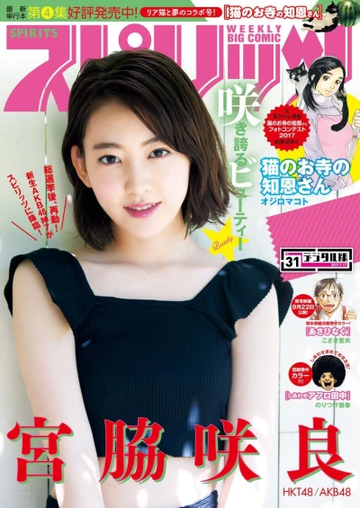 Cover of No. 31, 2017