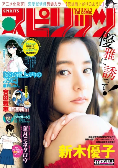 Cover of No. 33, 2017