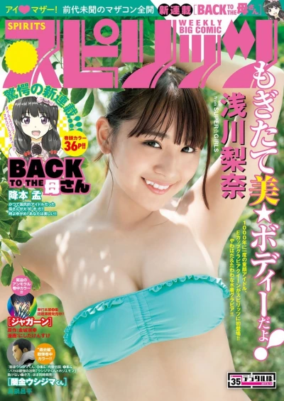 Cover of No. 35, 2017