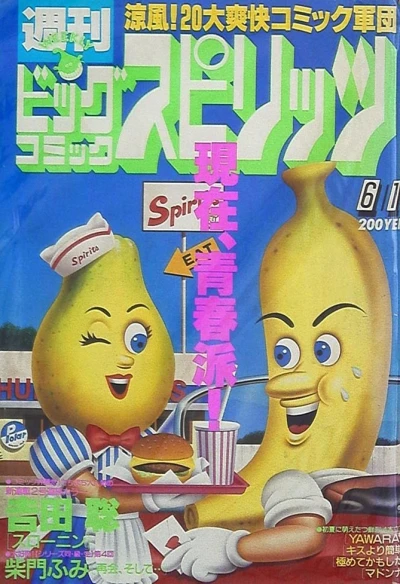 Cover of No. 25, 1987