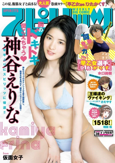 Cover of No. 38, 2017