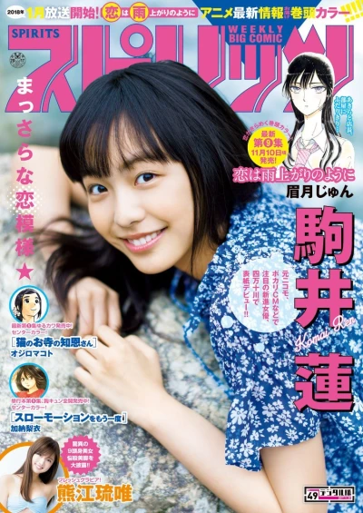 Cover of No. 49, 2017
