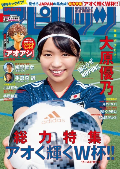 Cover of No. 29, 2018