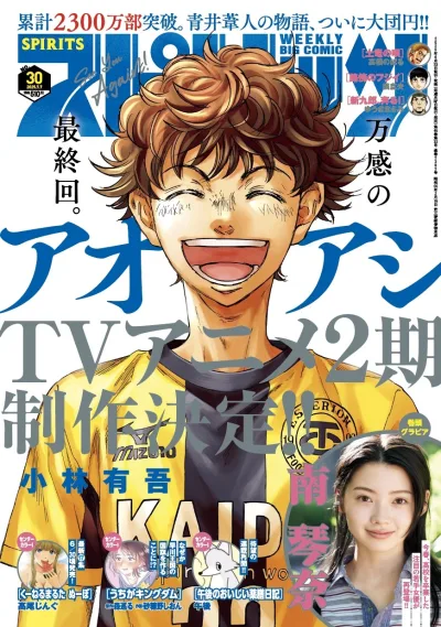 Cover of No. 30, 2025