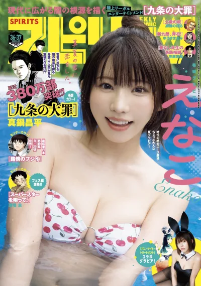 Cover of No. 36-37, 2025