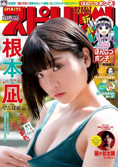 Cover of No. 17, 2019
