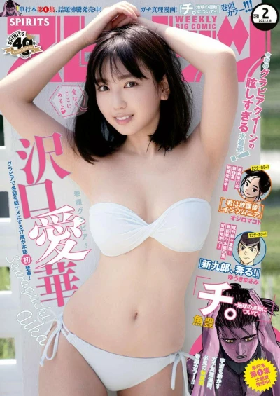 Cover of No. 2, 2021