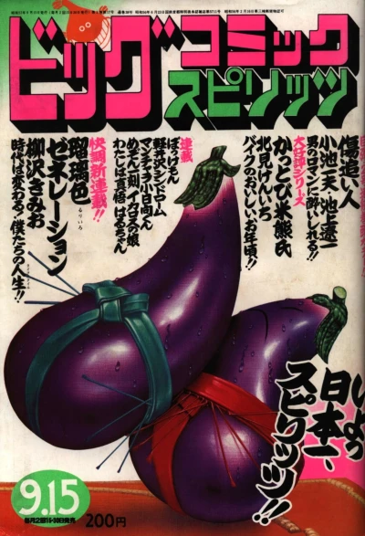 Cover of No. 17, 1982