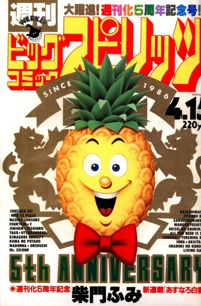 Cover of No. 17, 1991