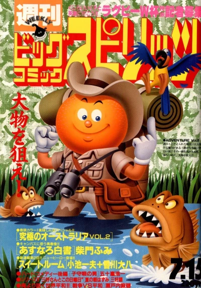 Cover of No. 30, 1991
