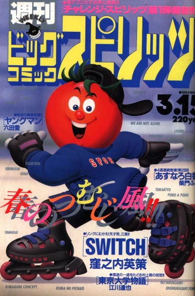 Cover of No. 13, 1993