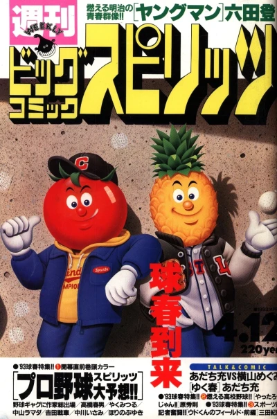 Cover of No. 17, 1993
