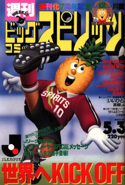 Cover of No. 20, 1993