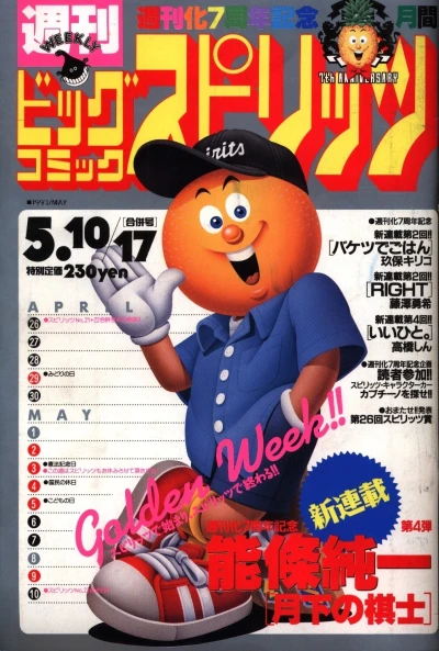 Cover of No. 21-22, 1993