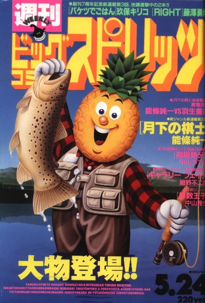 Cover of No. 23, 1993