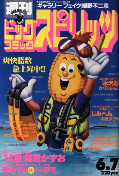 Cover of No. 25, 1993
