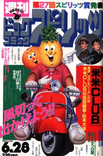 Cover of No. 28, 1993