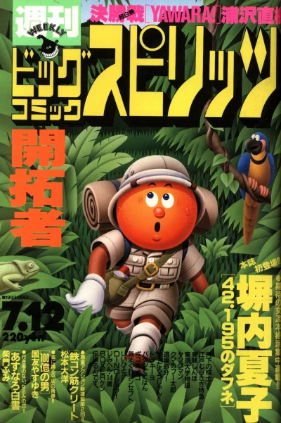 Cover of No. 30, 1993