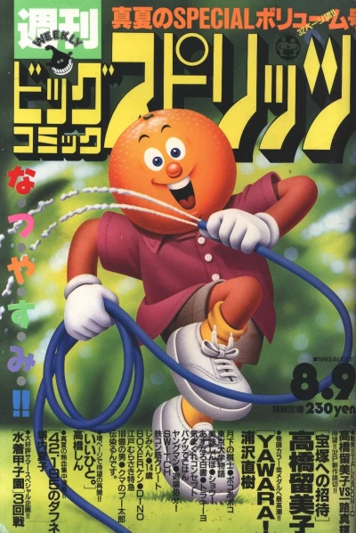 Cover of No. 34, 1993